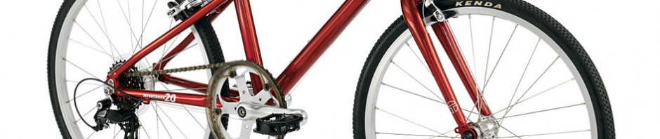 Torker Interurban 20" Kids